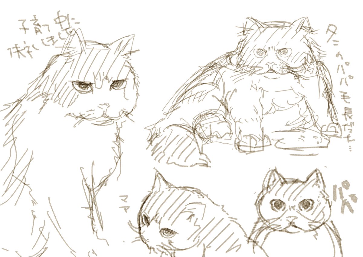 noysch_com's tweet photo. 実は猫を描くの苦手だったりします https://t.co/oWn7WSUjxW
