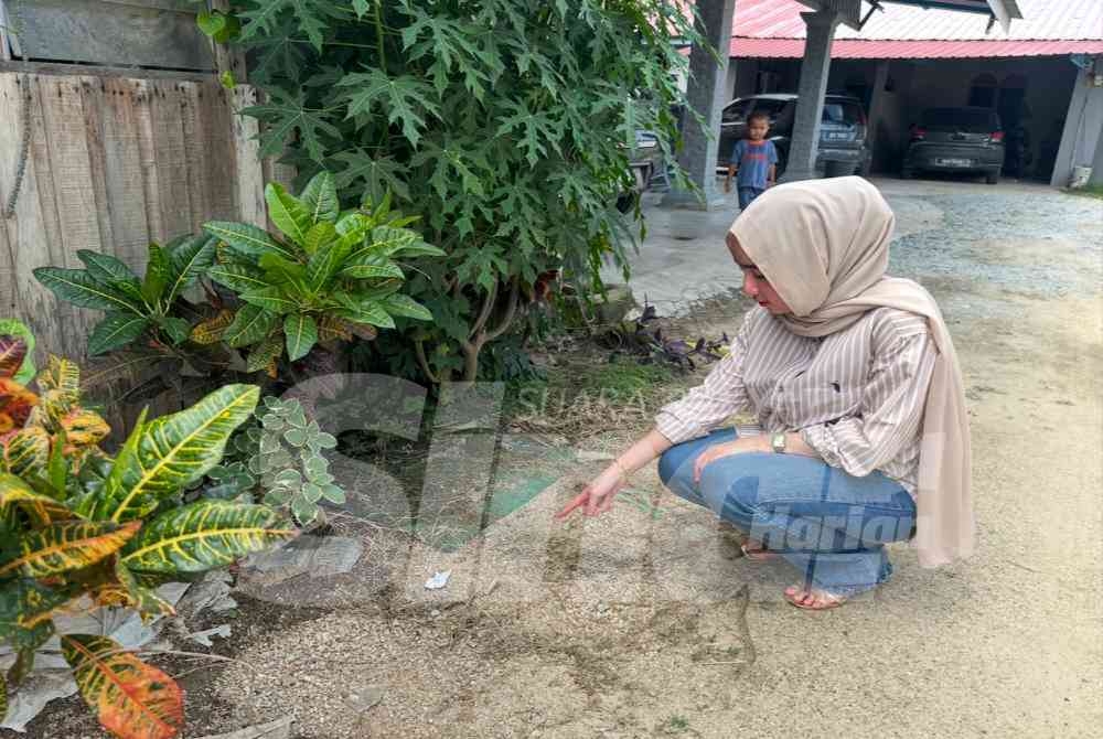 SinarOnline's tweet photo. 'Saya fikir kami semua akan mati' - Tujuh sekeluarga diserang lelaki bertopeng 'bersenjatakan' mercun 49 das

Tujuh sekeluarga lalui detik cemas apabila rumah mereka diserang dengan 49 das mercun stadium oleh seorang lelaki bertopeng.

Artikel: 'Saya fikir kami semua akan mati' - Tujuh sekeluarga diserang lelaki bertopeng 'bersenjatakan' mercun 49 das

#SinarHarian #beritaterkini #serangan #mercun