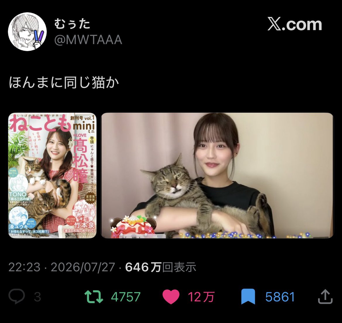 Fukanemusub's tweet photo. がっちゃん氏、飼い主の最多いいね記録を簡単に打ち破ってしまう https://t.co/zAgB77a6wa