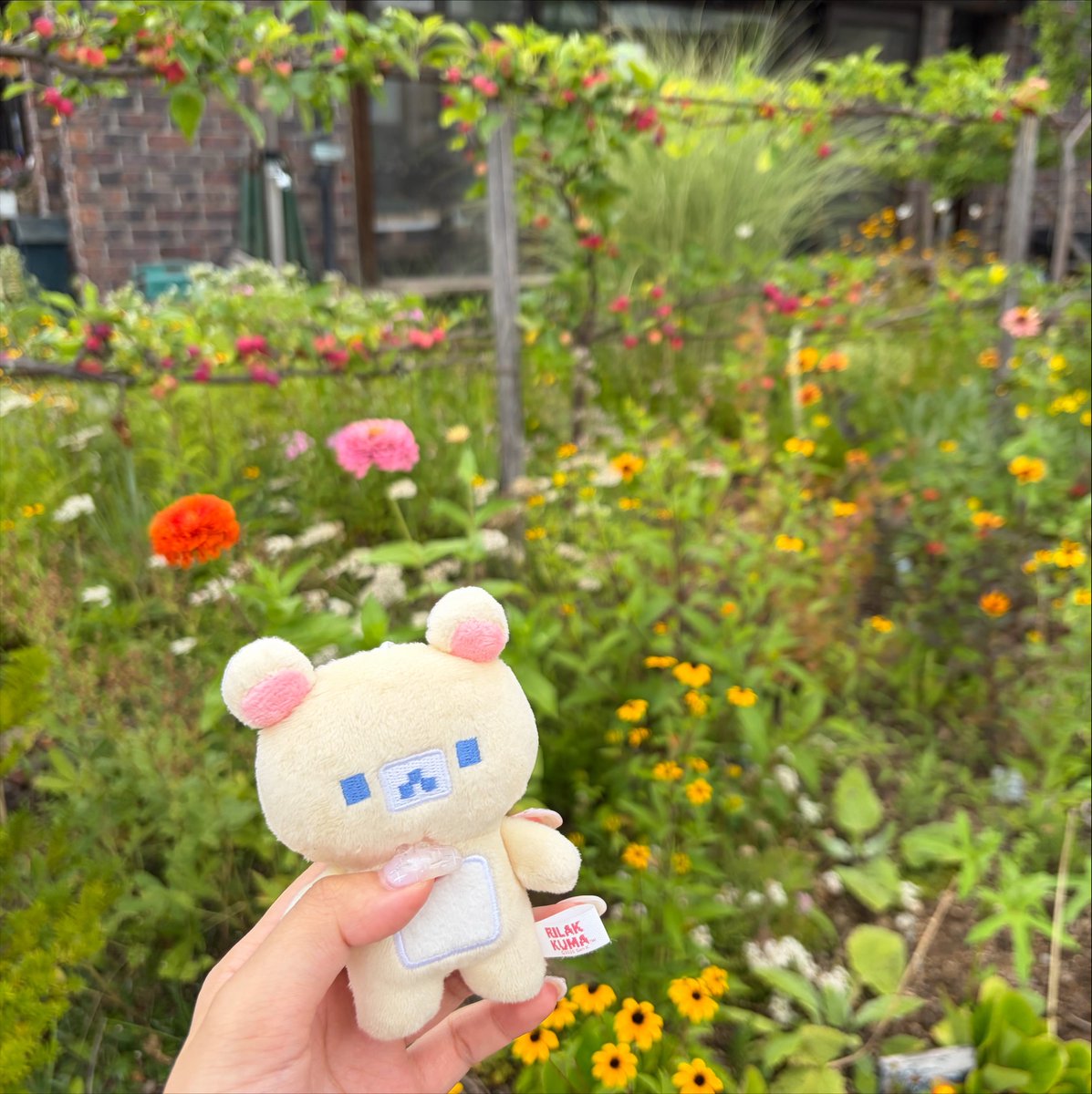 oyi_zo's tweet photo. 長野旅行2日目𓂃 𓈒𓏸𑁍

居心地がいい県だったなᵕ̈*

 #日常垢   #日常垢さんと繋がりたい https://t.co/gh1CarmYwH