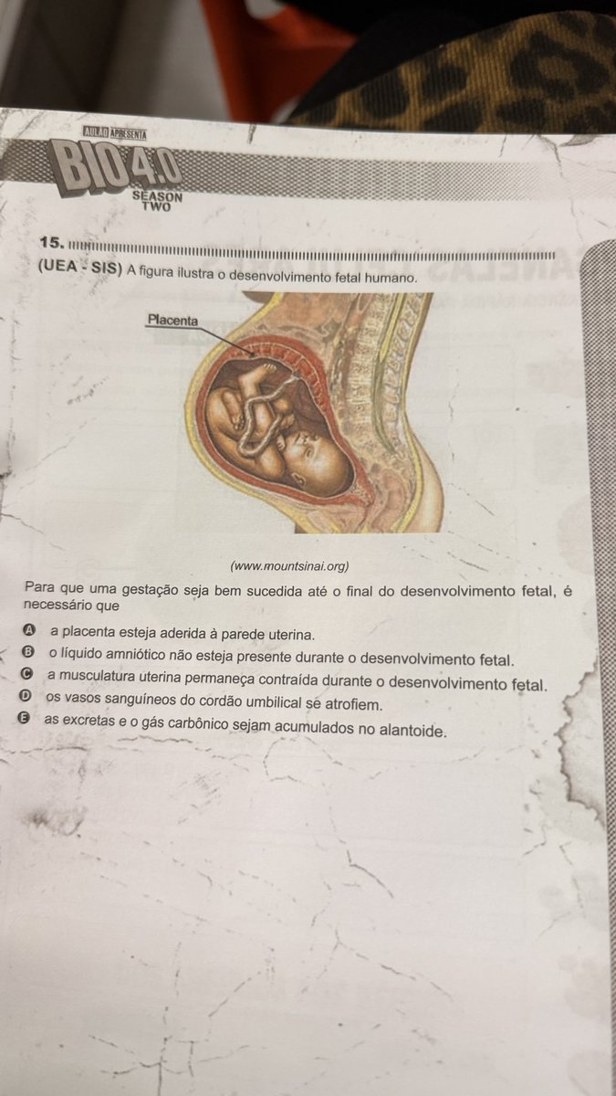 ariieviloo's tweet photo. queria que esse bebê fosse abortado e queria ser ele https://t.co/ntRnIJg6dt