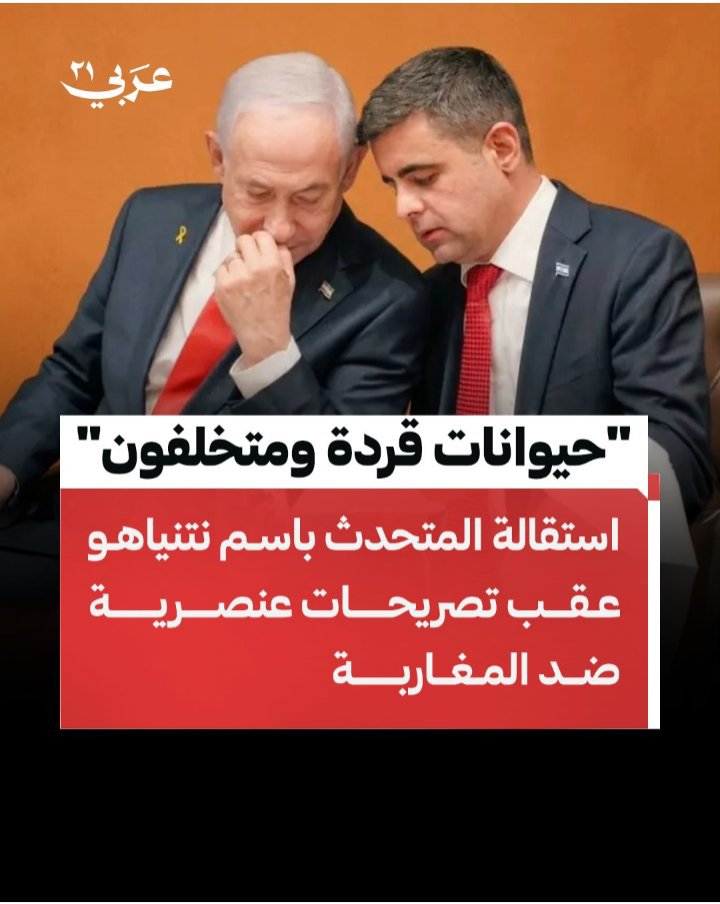 ByldikS's tweet photo. @amgharbxl Awwwwww?!!! T'es sûr ?!
Maroki s'il te plaît, ne compare pas les votres aux algeriens.
On est differents et on est pas de la même espèce.
Nous sommes des êtres humains et vous êtes des Babouins https://t.co/YxWIQ6w4Cg