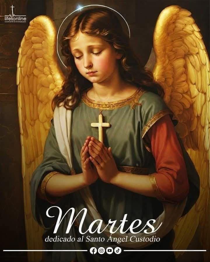 ArmadaRosario's tweet photo. MARTES DEDICADO A LOS SANTOS ÁNGELES*

```Oh, Dios, que en tu providencia inefable te has dignado enviar a tus santos ángeles para nuestra custodia, concede, a los que te suplicamos, ser defendidos siempre por su protección y gozar eternamente de su compañía. https://t.co/4ROLcP9m1Q
