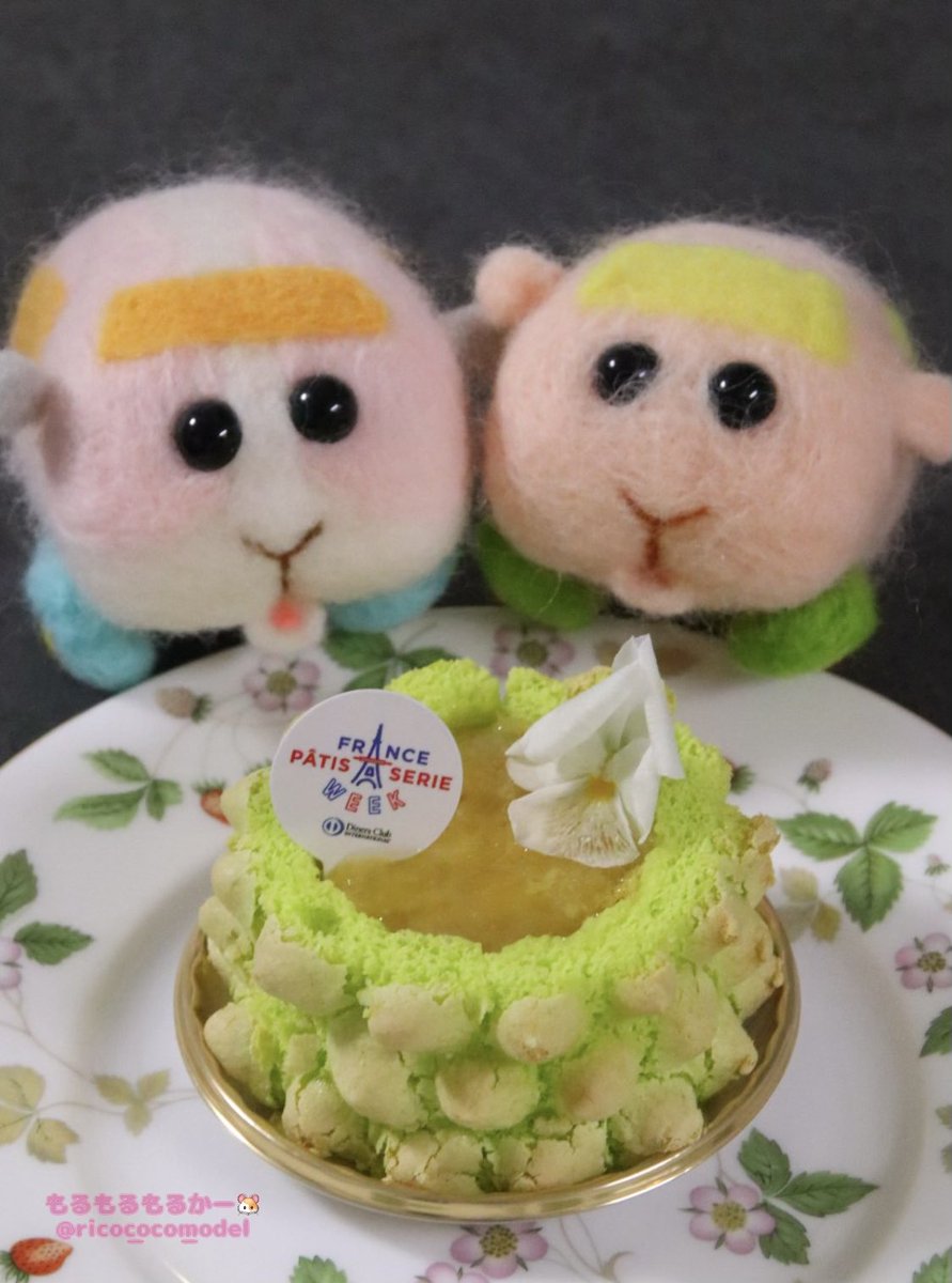rico_coco_model's tweet photo. 🐹モルカー×スイーツ🌼
Bisのシャルロットアナナス✨

「キレイな色プイね〜💚✨お花も乗ってるプイ🌼」
「パイナップルのような見た目で可愛いプイ🍍」

パイナップル、ライム、ピスタチオのシャルロット✨
甘酸っぱくて今の季節にピッタリなケーキでした❣️

#モルカー
#モルカーファンアート https://t.co/dVzf8m5YUQ