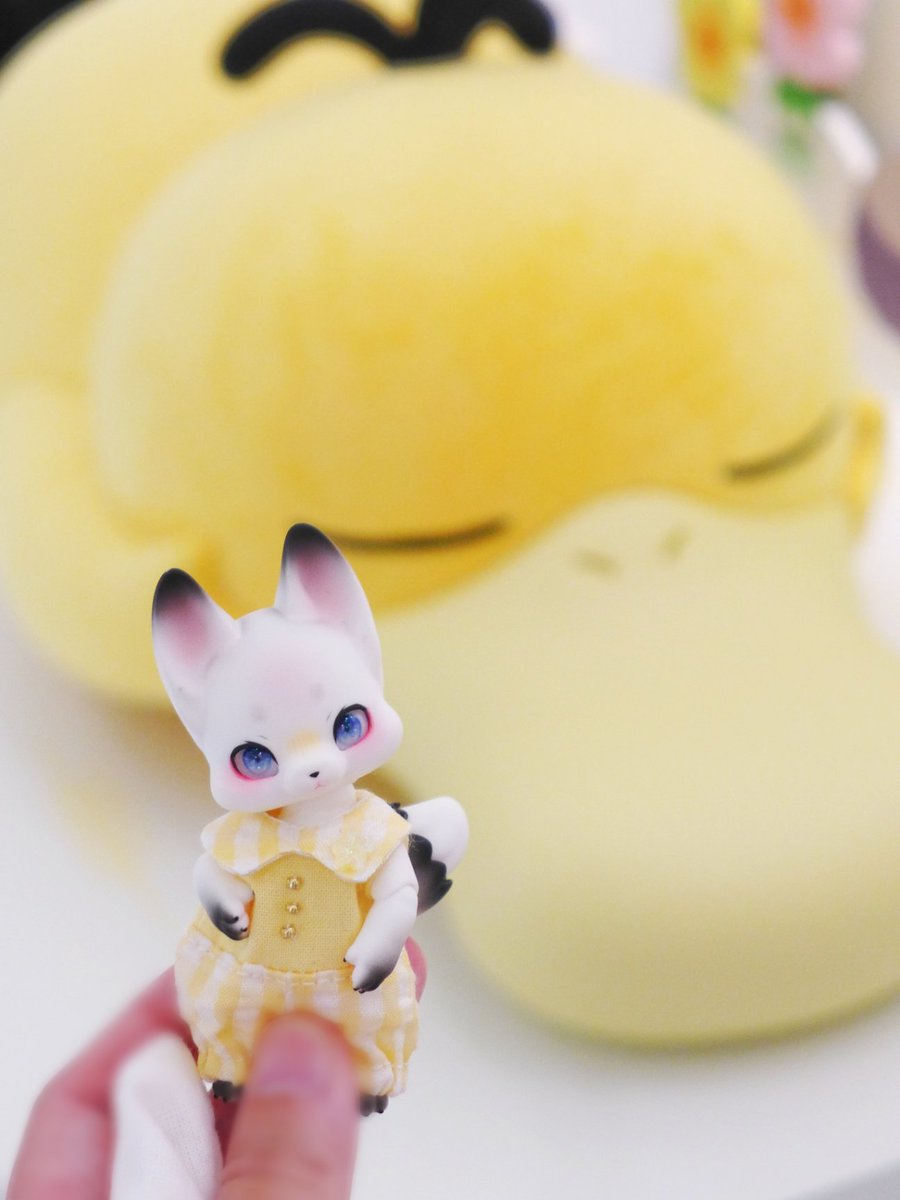 Usu_pextan's tweet photo. 寝てるから しー だよ🤫 https://t.co/qbVz51JrEH