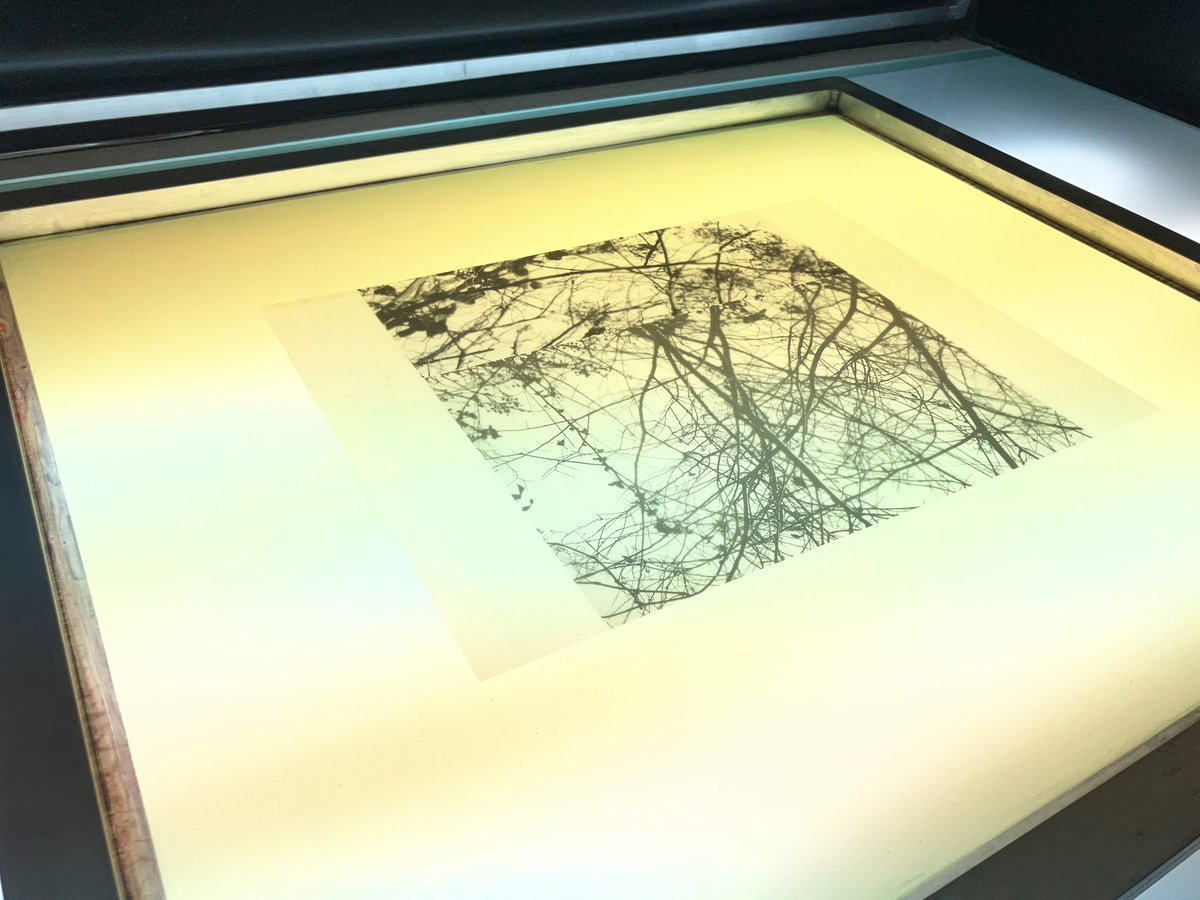 Taichi_Kodama26's tweet photo. Work in progress “Graftage:Montage #silkscreen #シルクスクリーン　#silkscreen #miniprint #serigraphy https://t.co/76EEyVGzKq