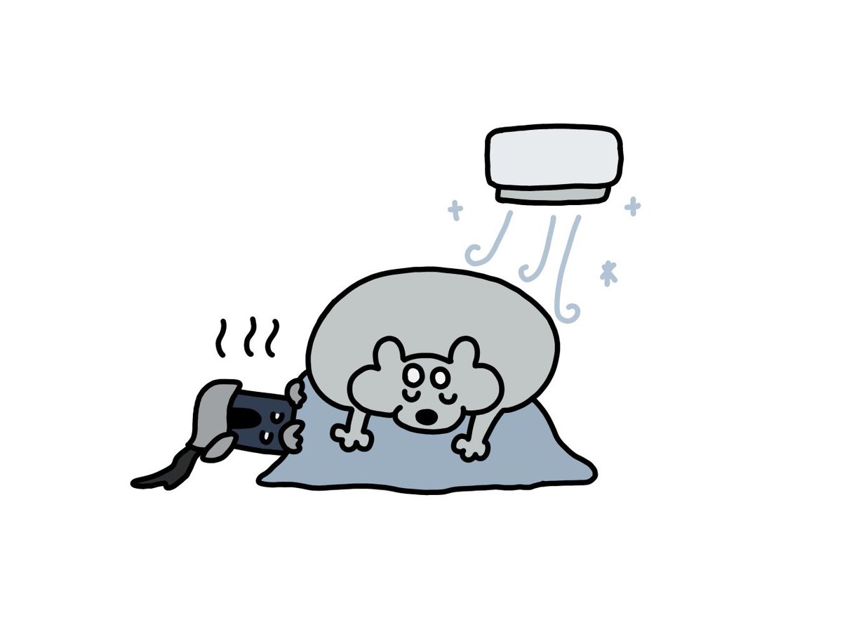 ochaocha414's tweet photo. 🐶 https://t.co/NPmOV5XZqb