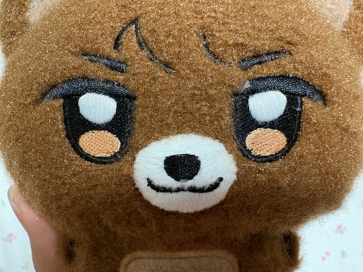 dduroriro's tweet photo. 빠안 •••🐻✨ https://t.co/nG3mlpWU1I