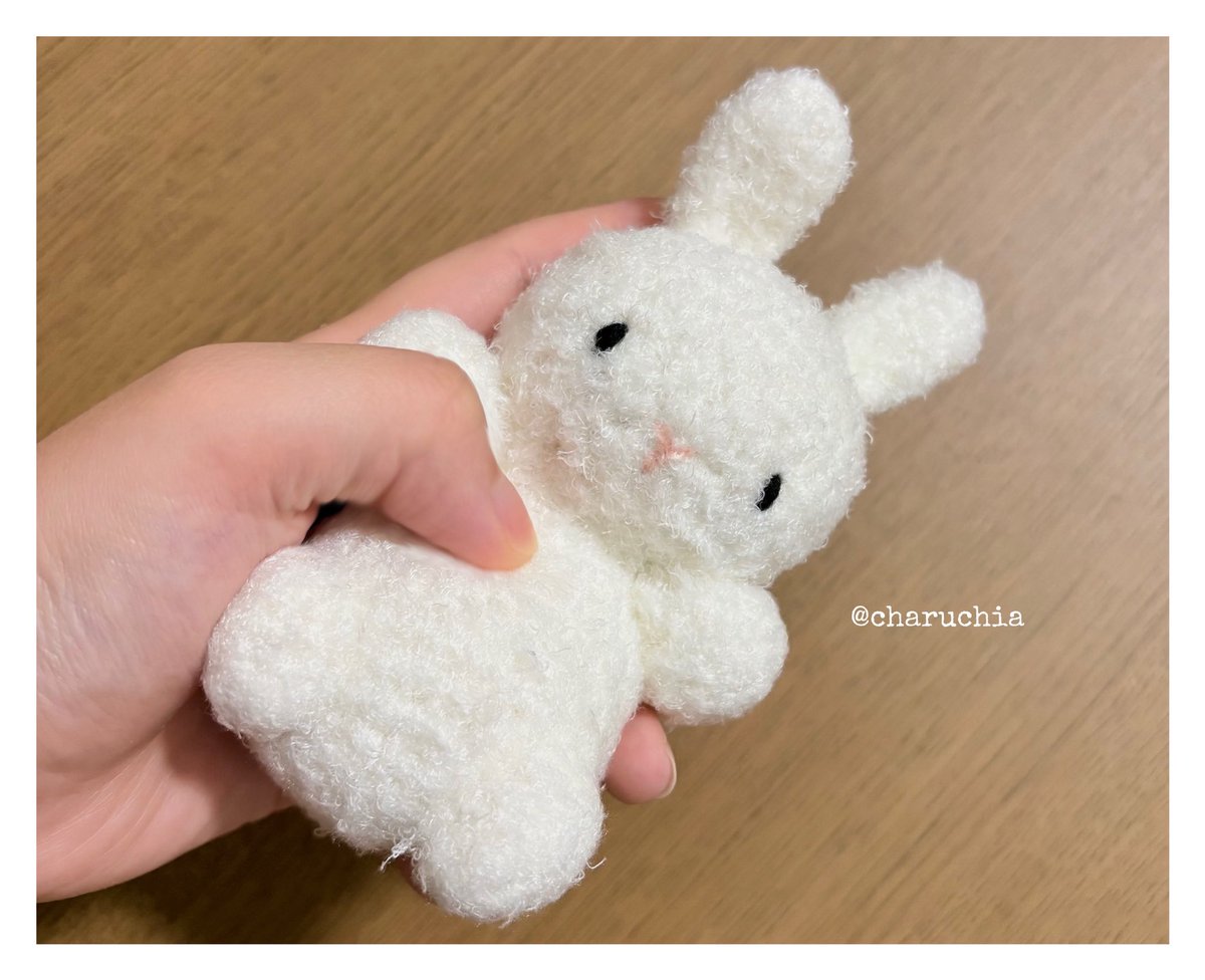 charuchia's tweet photo. うさぎさん誕生❣️🐰

 #あみぐるみ #かぎ針編み https://t.co/ip3ubu94kZ