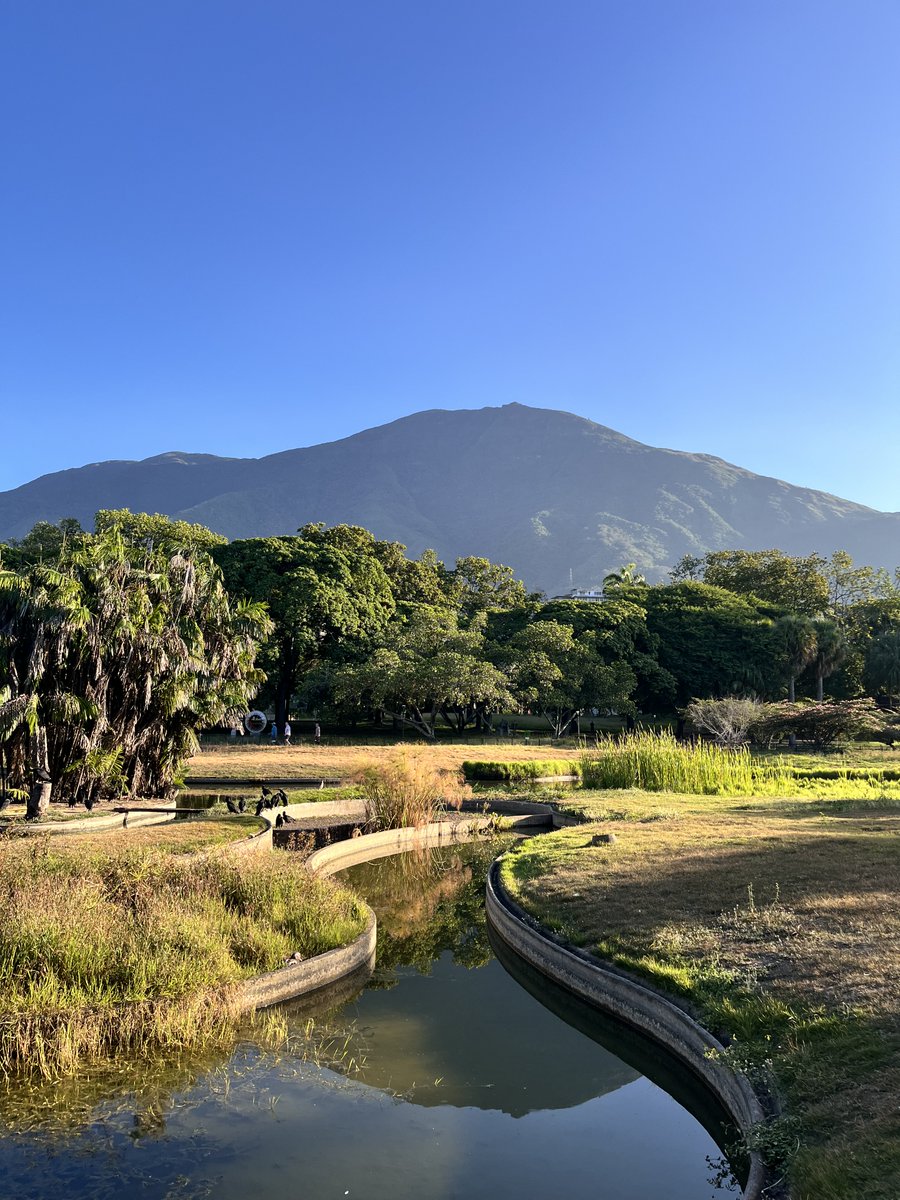 escovargabriela's tweet photo. Así estaba hoy. Buenos días. 

#UnaMiradaAlParque https://t.co/VtqO5BA9dt