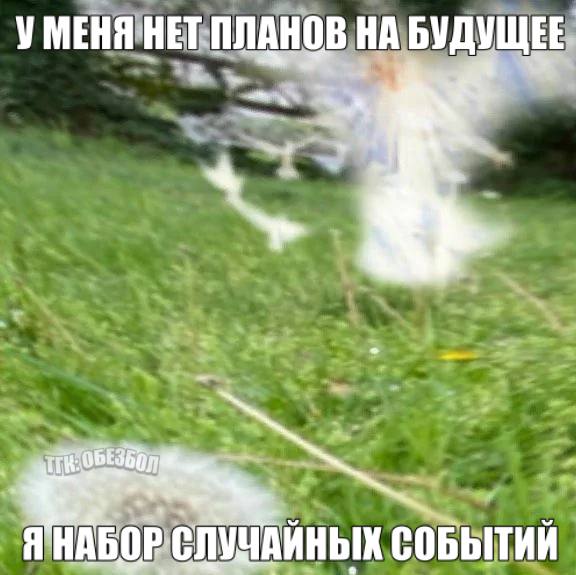 DanielMeows's tweet photo. Когда спрашивают "что будешь делать?": https://t.co/66pa8CWhAK