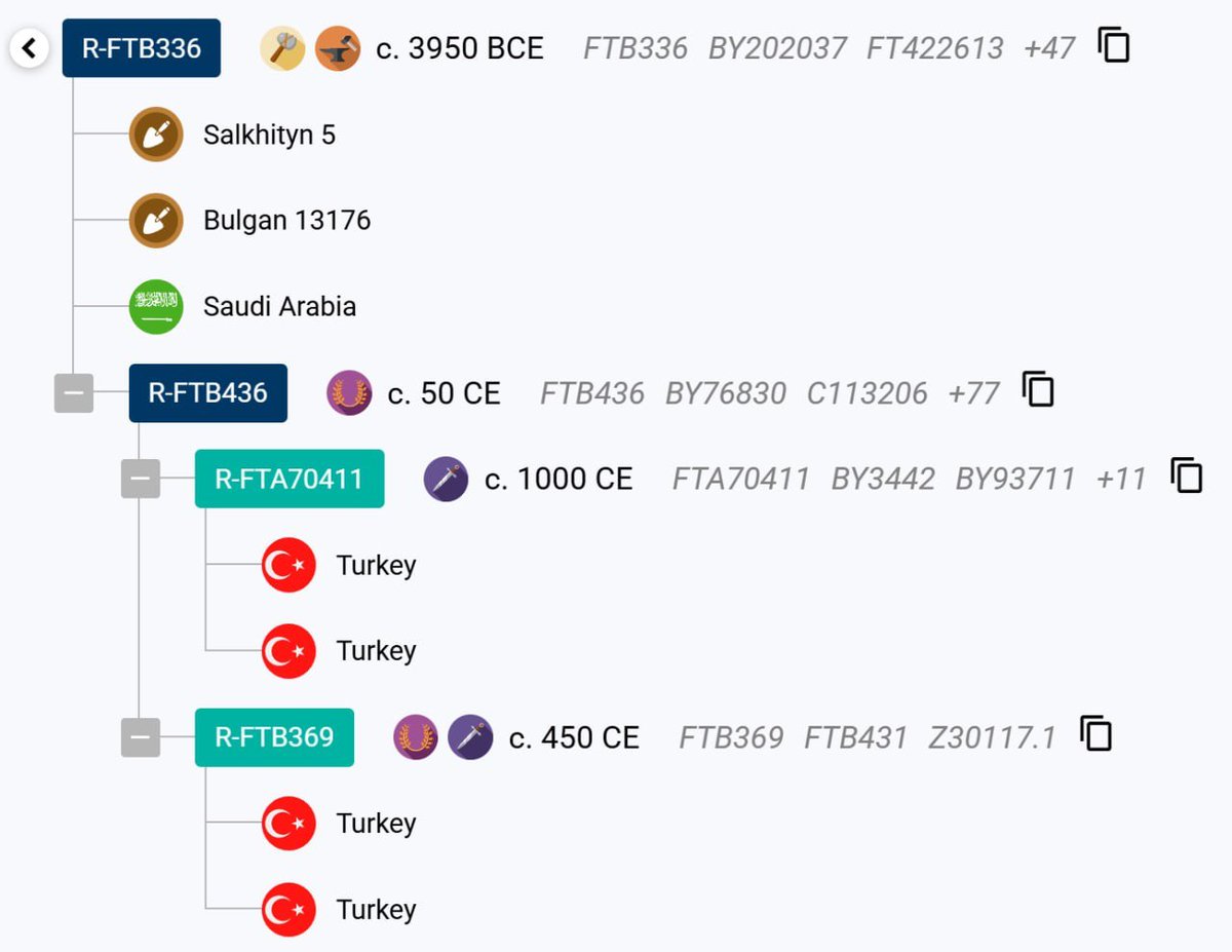 ozbegtin_balasi's tweet photo. 🧬 Intersting DNA results for Uzbek from Yaypan, Kokand, Uzbekistan

~47% East Eurasian 

Haplogroup:  R1b-PH155 > R-FTB336 https://t.co/x5iEDEde4Q

Credit:
https://t.co/7XJMnUdCPX https://t.co/wQ6GWQFWVA