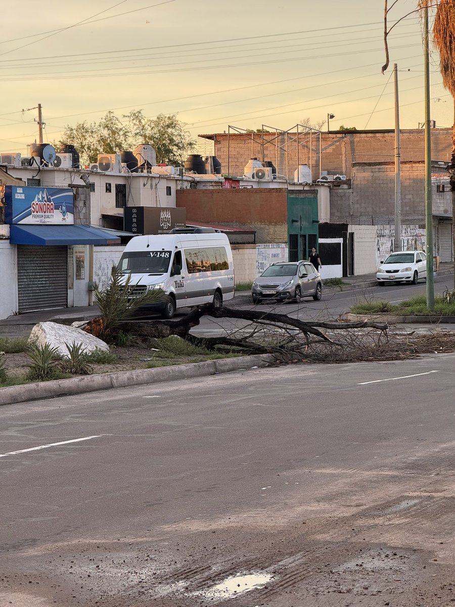 bustamantte11's tweet photo. Después de la tormenta no solo quedan destrozos, también oportunidades para ayudar. Si está en tus manos, mueve una rama, coloca un señalamiento o haz la diferencia. No todos vivieron el diluvio de la misma manera. https://t.co/EL9nEKByeo