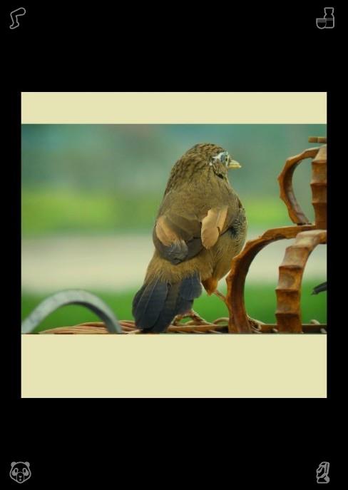 tossy932's tweet photo. 🦎Sincerely rejoice in every little victory your friends accomplish; authentic, selfless, and heartfelt delight fosters genuine, warm bonds that are untouched by concealed envy or critical inner reflections. Extend solace to each worried soul in need. https://t.co/UOh64aGdzu