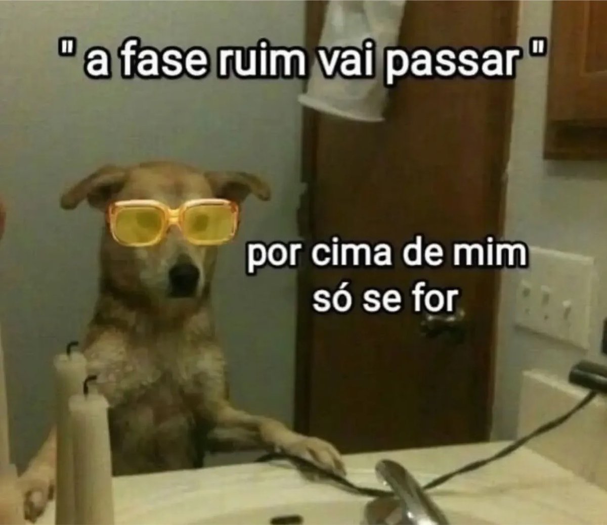 shitpostverdade's tweet photo. https://t.co/9G7pf6Bsu0