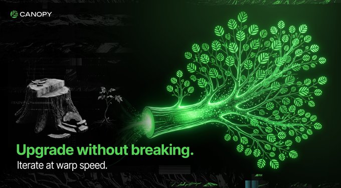 hesamd1's tweet photo. been reading more about @CNPYNetwork and the focus on ai assisted development stands out
tips :

write readable code
launch onchain apps in one session
use built in tooling
scale on the same codebase
follow the ecosystem as new updates arrive

#NFA https://t.co/cIu352xsrW