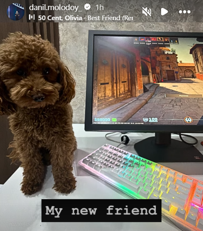 Ozzny_CS2's tweet photo. molodoy showed off his new friend 🐶 https://t.co/xc8qIcFUjm