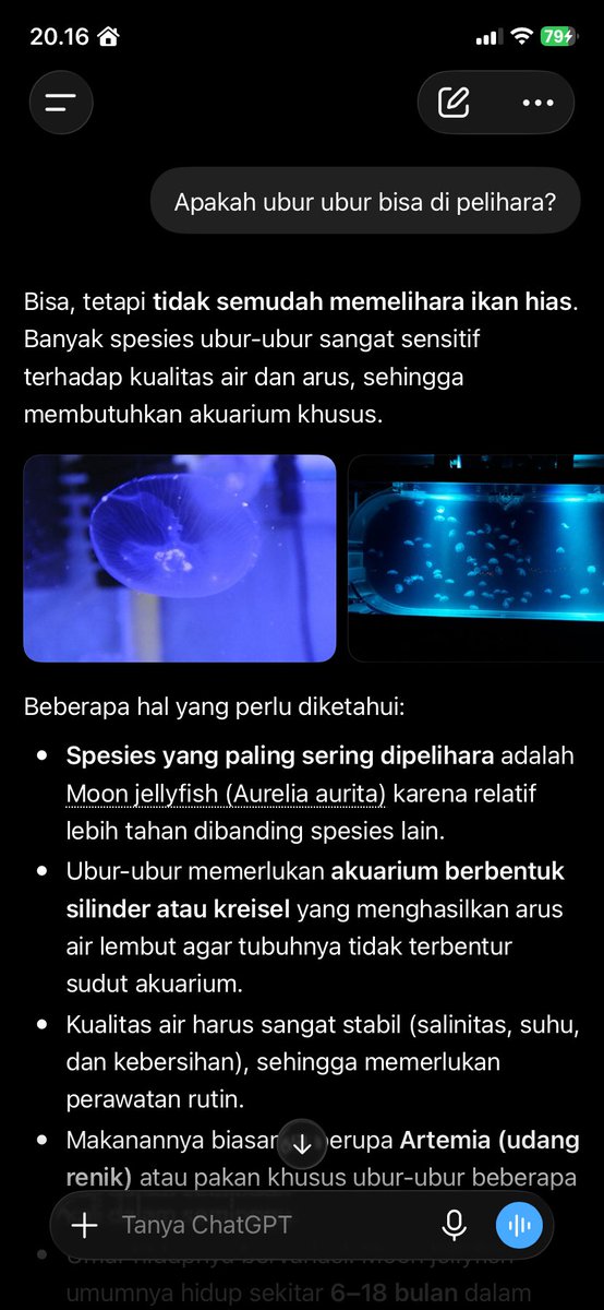 Ed tweet media