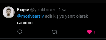 Milli Motive Arşivi tweet media