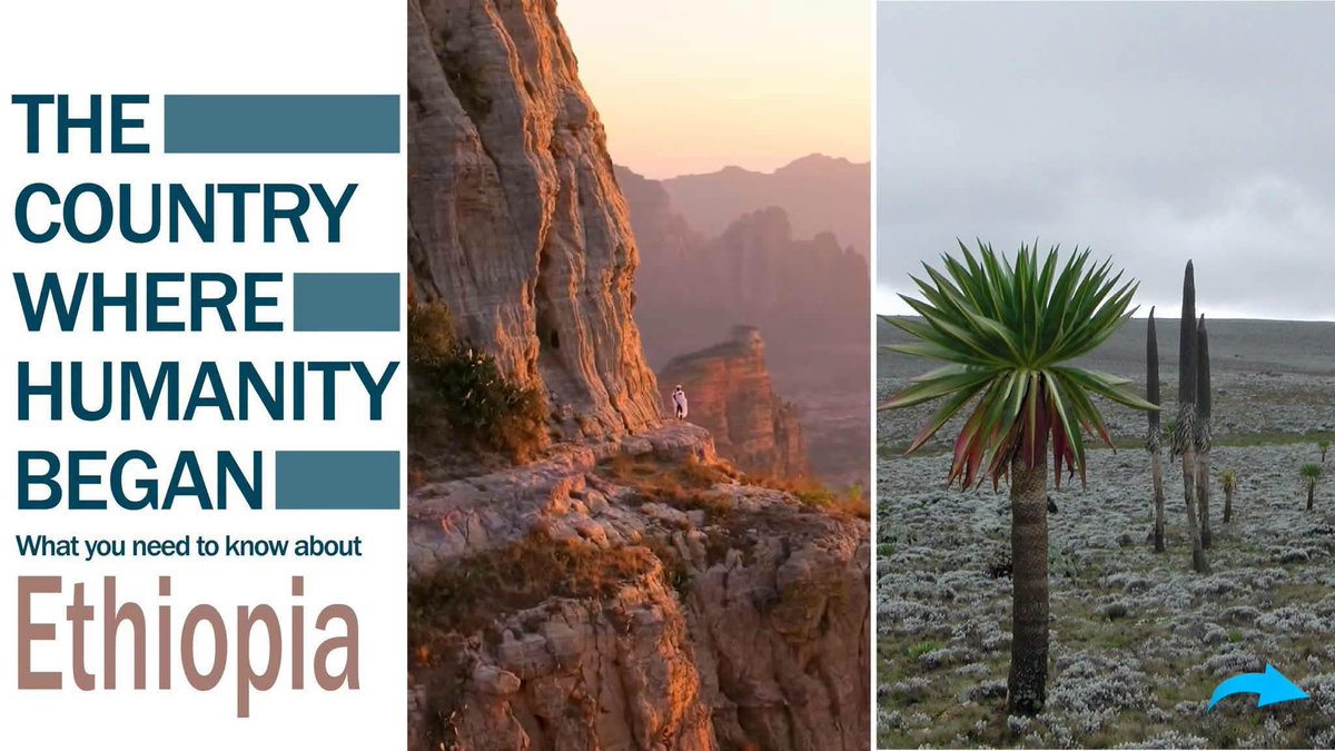 ETEmbassyJIB's tweet photo. L'Éthiopie recèle bien plus de surprises que vous ne l'imaginez. Découvrez à quel point vous la connaissez vraiment. 🇪🇹
👉 Faites glisser pour le découvrir !

#VisitEthiopia: https://t.co/s2zswwOdFG 
#PMOEthiopia
#LandofOrigins 
@LiveDjib @DjiboutianP @AgenceAdi @DjibTourism https://t.co/c7Erv3A6Y9