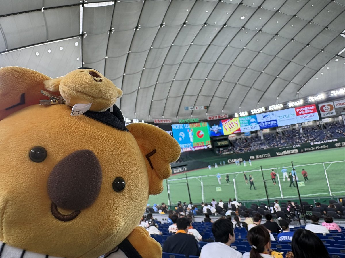 clm_same's tweet photo. ﾊﾟｼﾌｫｰ‼︎ https://t.co/mZCuJ9ms6u