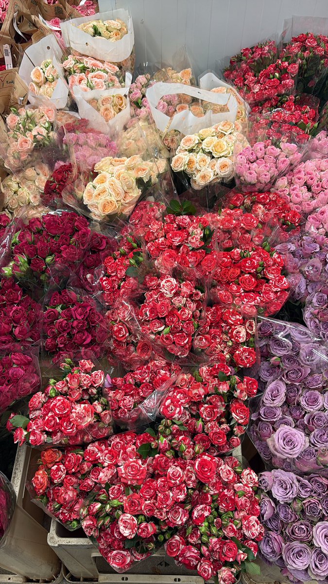 Rrrhhhss's tweet photo. Red roses are my fav🌹♥️ https://t.co/2y3gL9KaBm