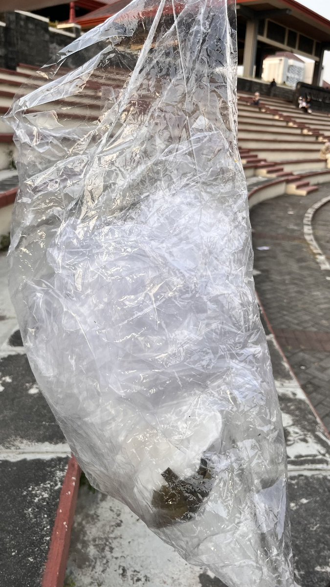 sastramesinugm's tweet photo. Maaf banget buat gamada yang habis ambil almet mungkin besok” untuk bekas plastik almetnya mau minta tolong banget untuk bisa dibuang ketempat sampah terdekat atau dibawa pulang. Karena tadi sore aku nemuin dan mungutin banyak plastik ini dipojokan gsp https://t.co/hh8a8fsfZ8