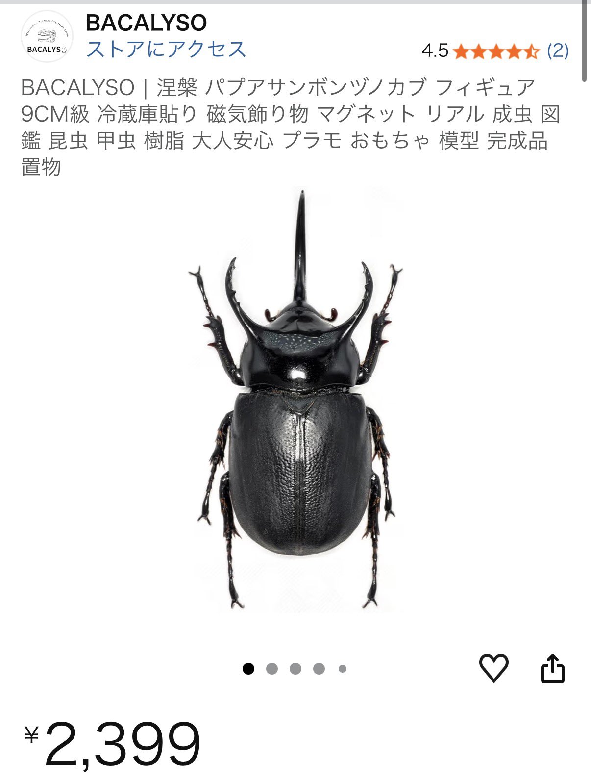 パプア産　サンボンヅノカブト　特大　78mm 黒猫のチョコ🐻🥯 🦊🀄 on X: 