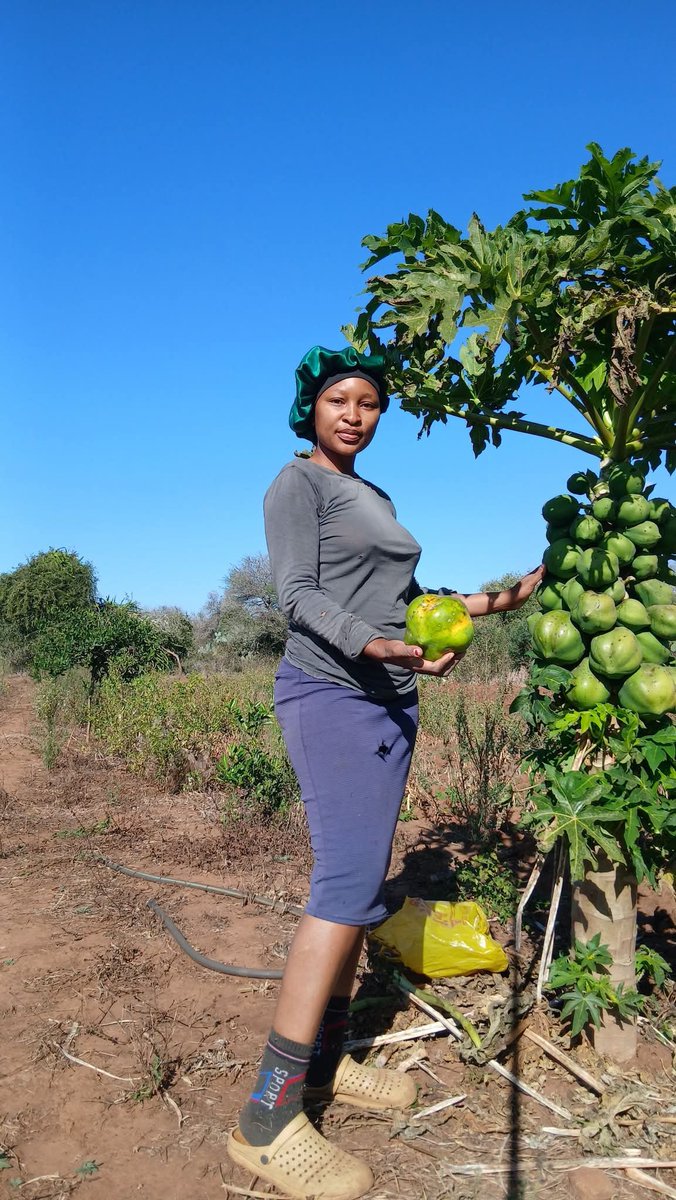 Kgoshigadi_TT's tweet photo. Land is all we need https://t.co/jUEJt6XW7T