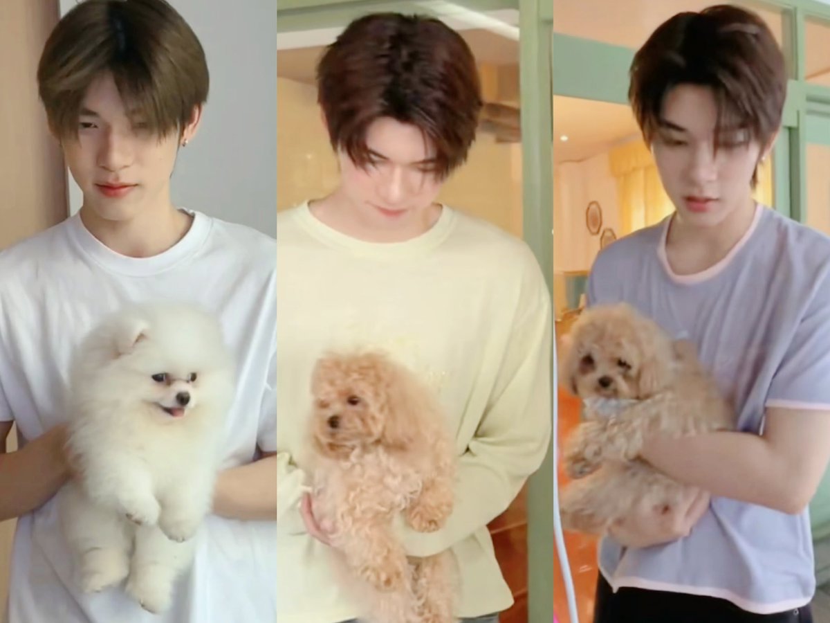 tee46cm's tweet photo. จี๋จี๋อุ้มตุวเองอีกแน้ว ( — 🐶 #twnpich ) https://t.co/IvVboxICES