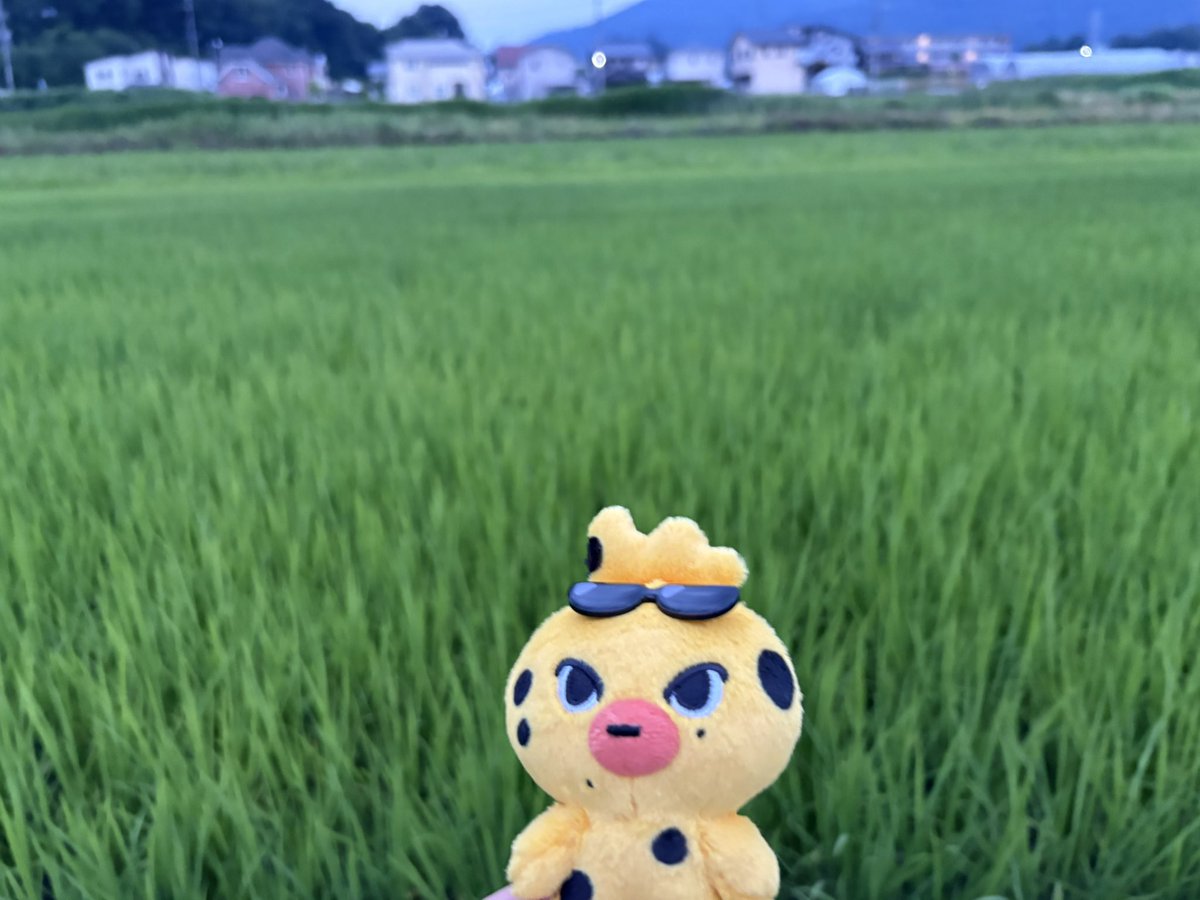 F3Nje9's tweet photo. 先日旅に出たのでお供に
そして、別日はカフェにお出かけ🐥 https://t.co/sfFq3pJ0so