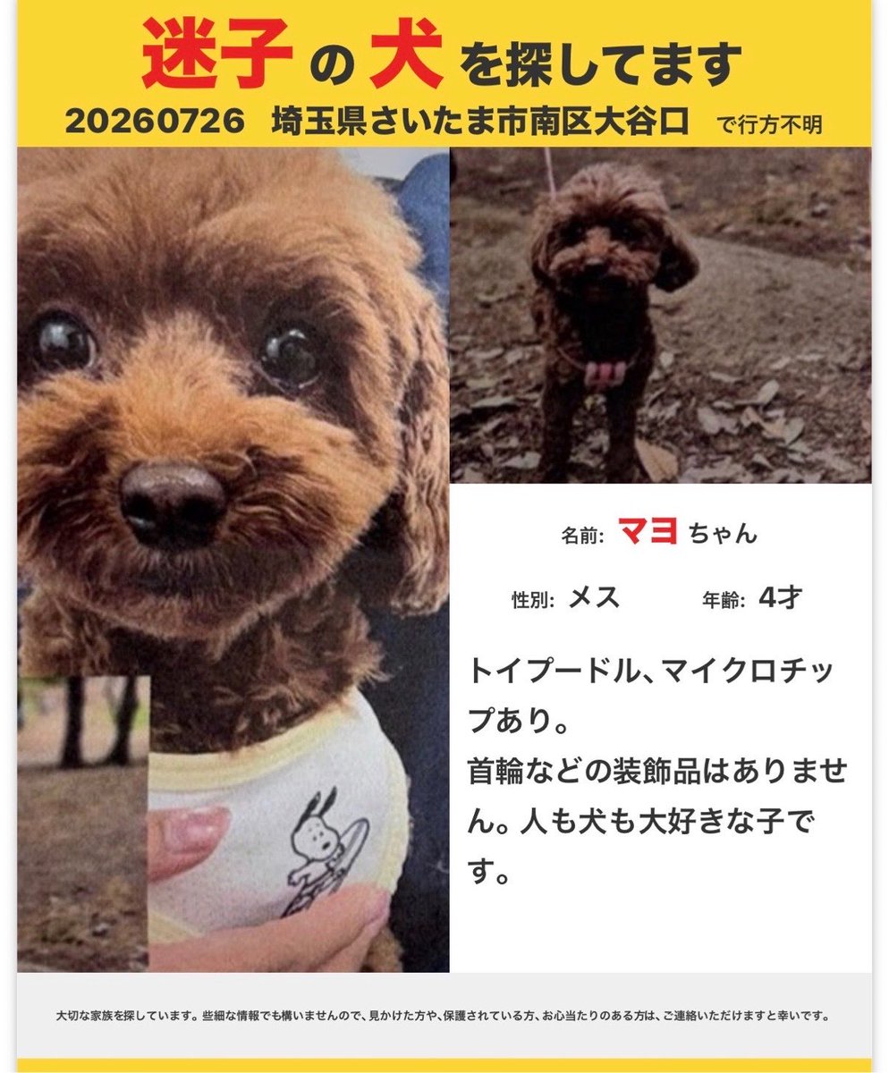 peruchacu's tweet photo. 【迷子の犬探してます】《拡散希望》マヨちゃんの飼い主さんと一緒に原山ウエルシア近辺の住宅街を先程まで探してきましたが、見当たりません😢涙ながら、必死に探しています。大事な家族です😢些細な情報でも構いません、DMお待ちしております😢 https://t.co/QBNRrXsN9R