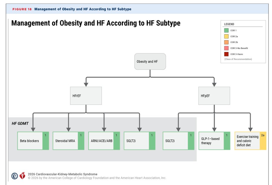 robmentz's tweet photo. New HFpEF consensus pathway lays out clear approach:
💠SGLT2i + (ns)MRA, unless contraindicated
💠+GLP1, if obese
💠Consider ARNI
💠AVOID BB as able
CKM GL give framework in context of comorbidities.
🚨Need to make sure we don't delay effective therapies down the decision tree!🚨 https://t.co/KemtkbvuL0