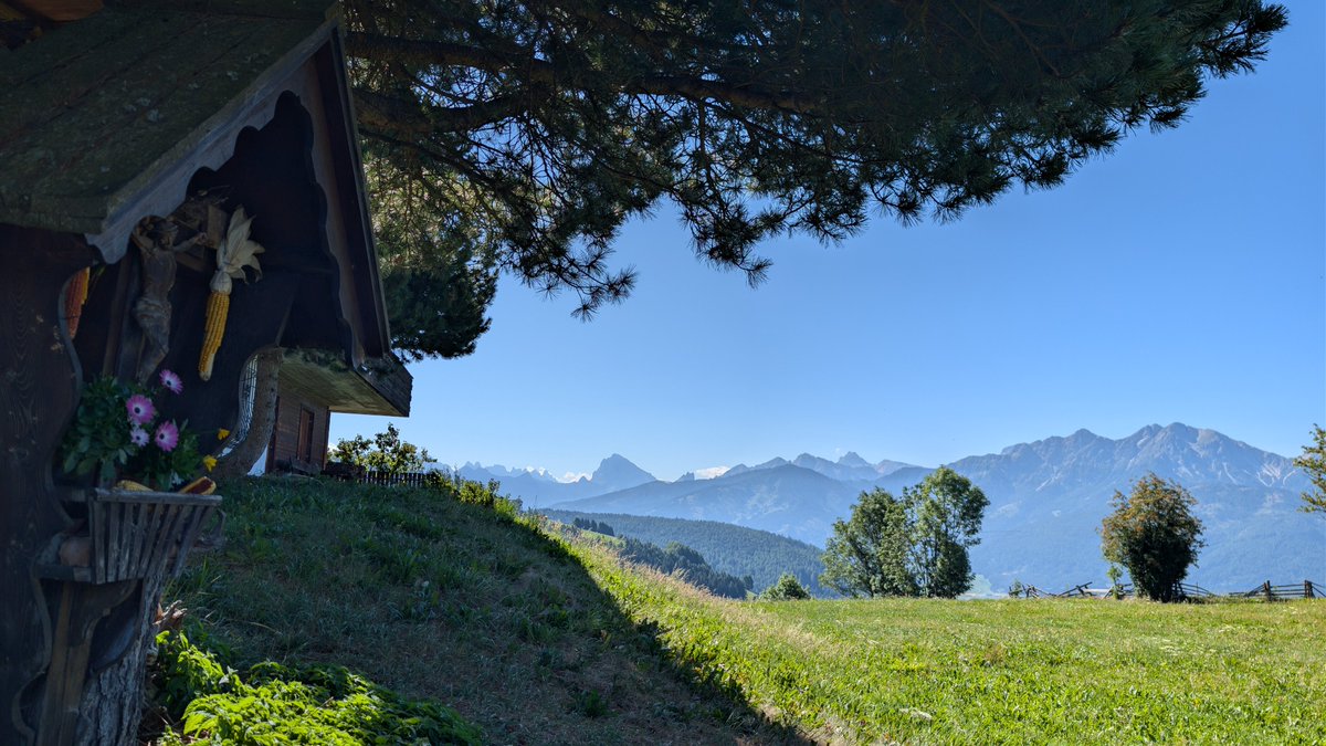 heavenlydemon94's tweet photo. 28-07-26, Alto Adige, Italy
#photograghy #GooglePixel8Pro #details #photooftheday #PhotographyLovers #PhotographyIsArt #NaturePhotography #NatureLovers #Italy #NaturalWonders #NatureBeauty #mountains #dog #DogsLover #FlowersOnX https://t.co/KOJZ4AAp7t