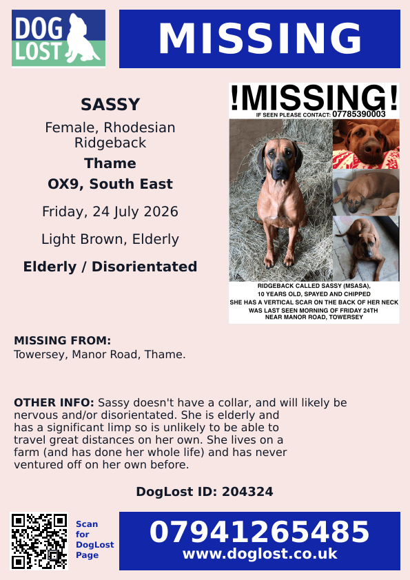 millypod1's tweet photo. 🆘24 JULY 2026 #Lost Sassy #ScanMe
ELDERLY Rhodesian Ridgeback Female
#Towersey Manor Road #Thame #Oxfordshire #OX9
POSS SEEN: #Turville Henley-On-Thames (near the school) #HenleyOnThames
https://t.co/WXWPetPqyh https://t.co/tbwdwwurXX