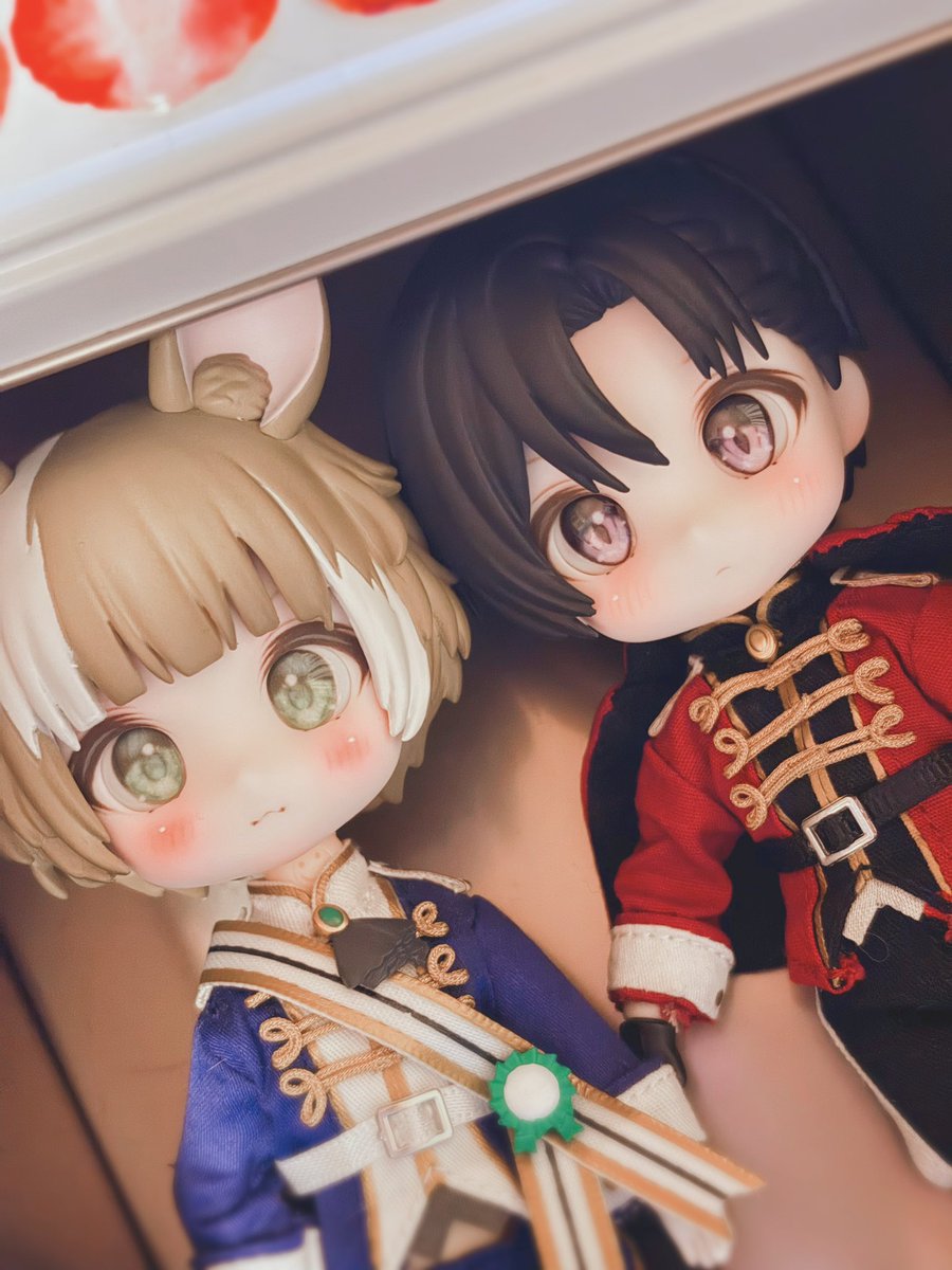 tw_sgk's tweet photo. かわいい...😭 https://t.co/5NgBZfB6Ky