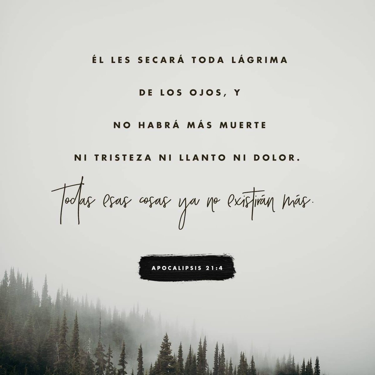 DA_1844's tweet photo. Secará todas las lágrimas de ellos, y ya no habrá muerte, ni llanto, ni lamento, ni dolor; porque todo lo que antes existía ha dejado de existir.» https://t.co/W1HId6FatH