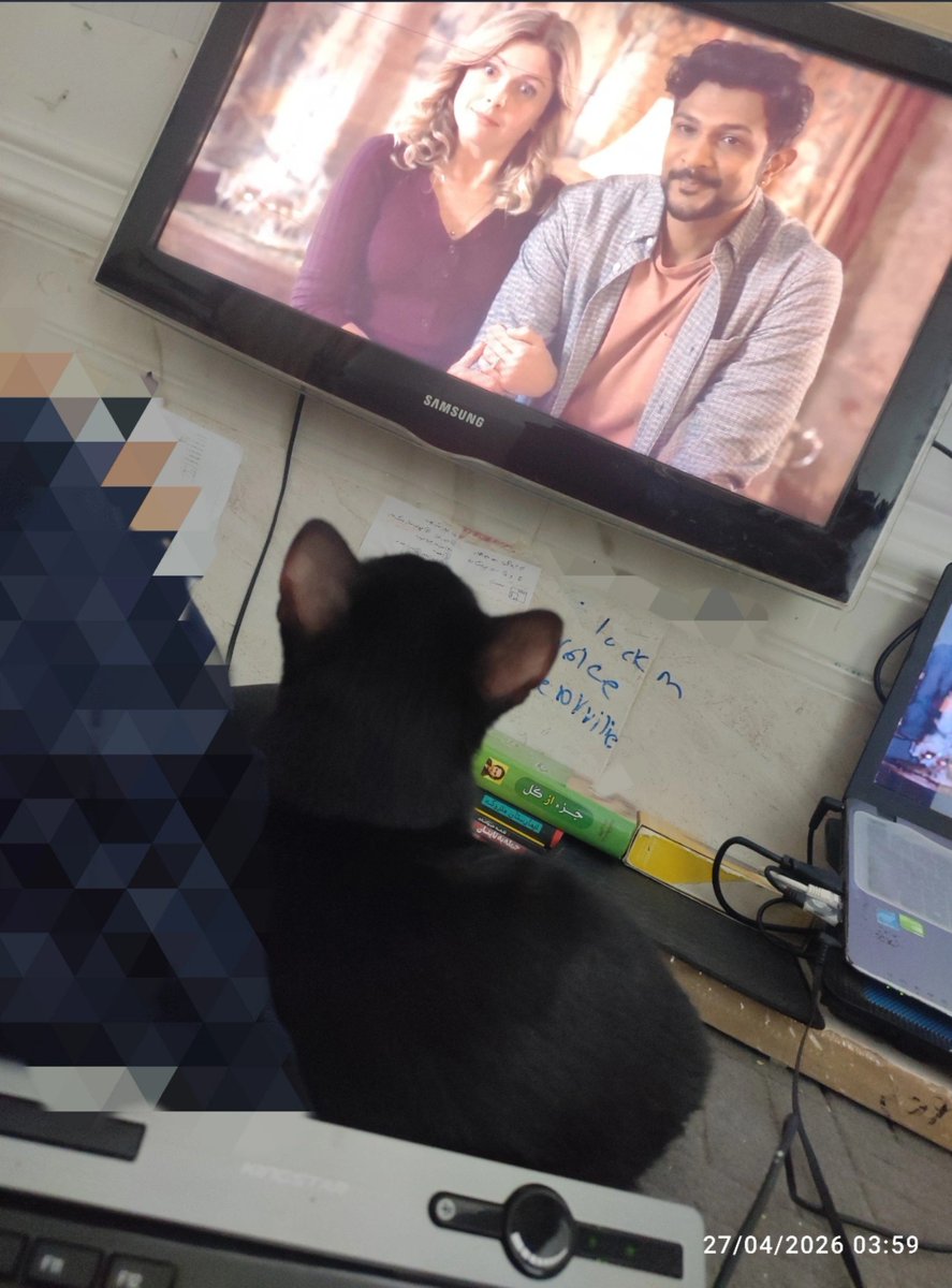Mobiin_79's tweet photo. دو نفری فیلم دیدن رمانتیک که میگن اینه :) https://t.co/gKQ0Kr7SNr