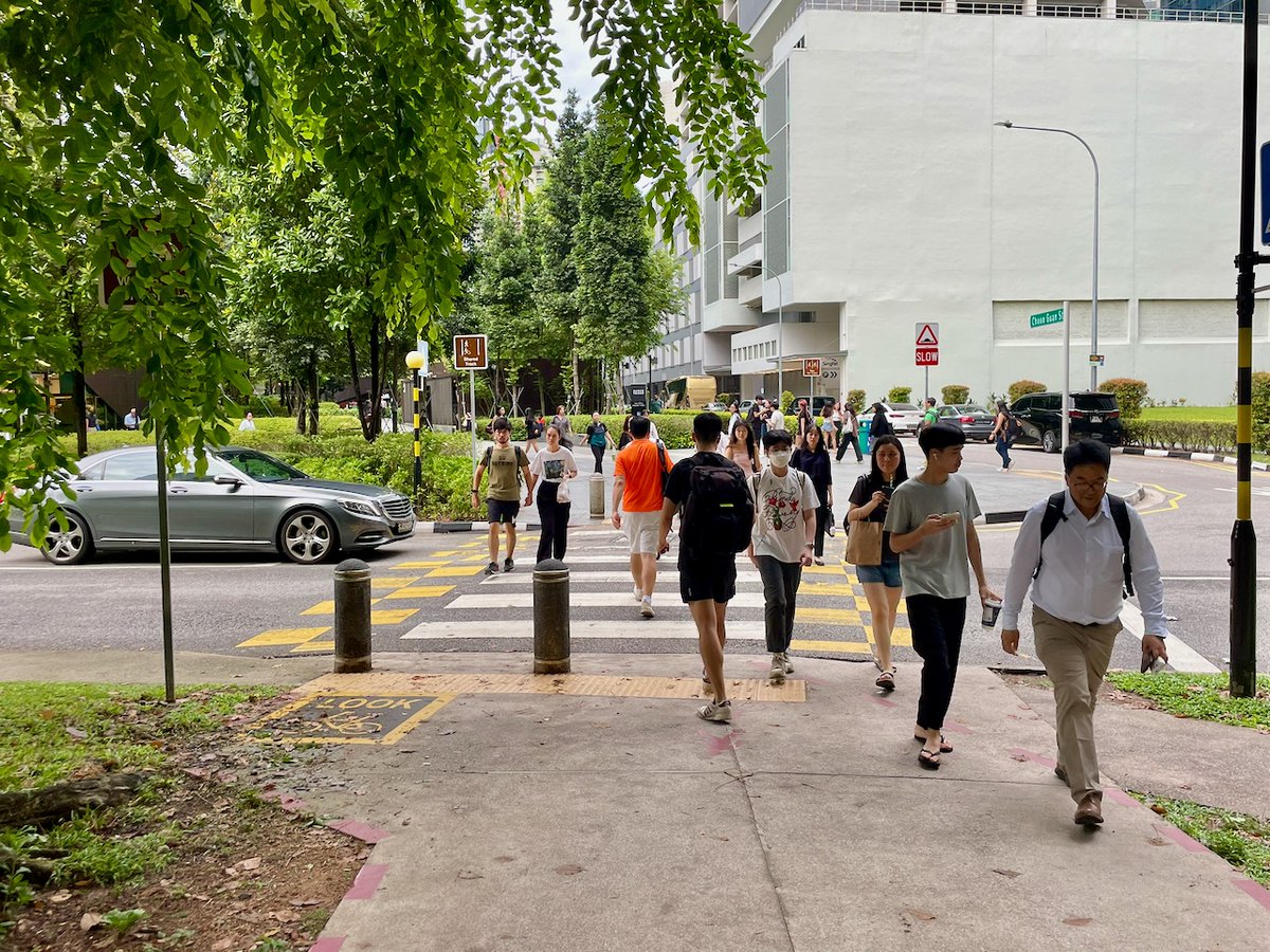 chriskost's tweet photo. "Greening is the most cost-effective project I have launched."

 - Lee Kuan Yew, From Third World to First: The Singapore Story: 1965-2000 https://t.co/dOX0OP1lrY