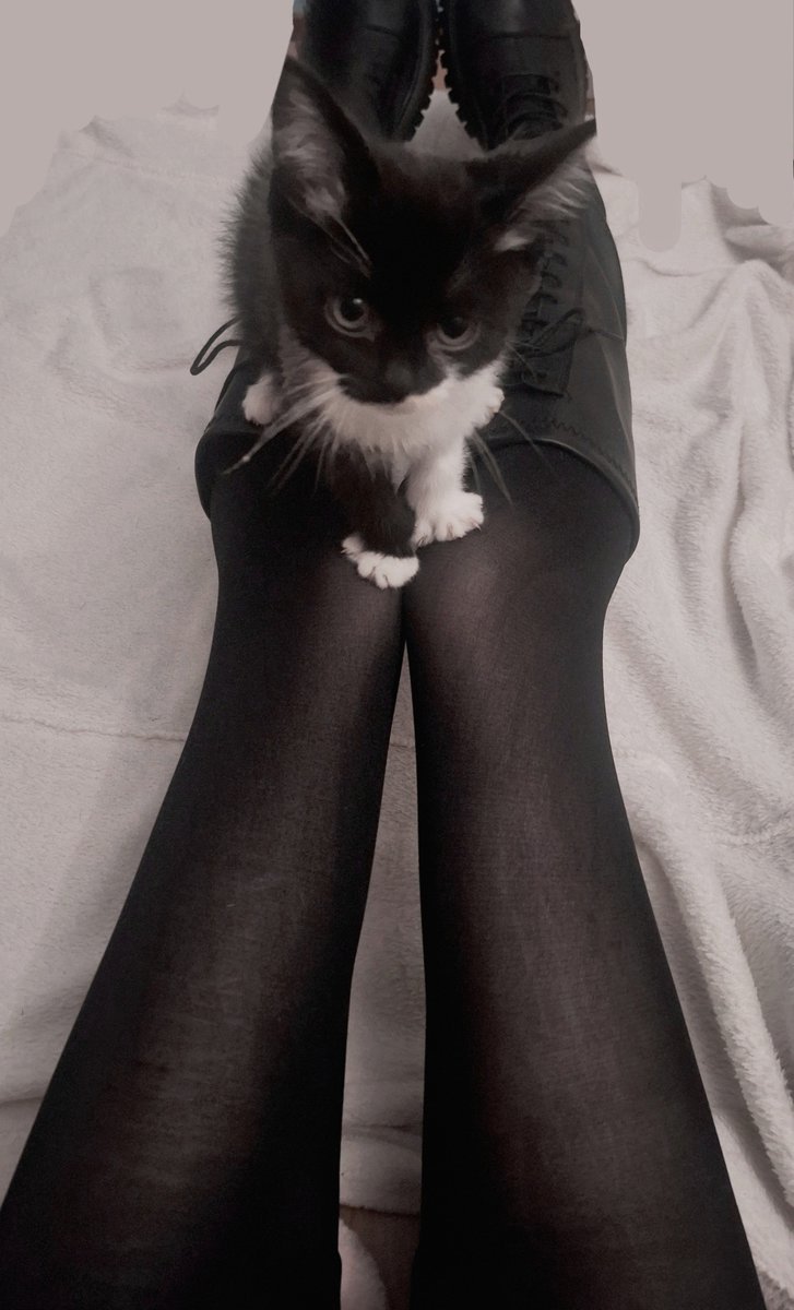 necrokittymimi's tweet photo. Thigh gap, featuring my beautiful daughter ♡ #edrtwt #bodycheck #thinspo https://t.co/HGA4otN2ei