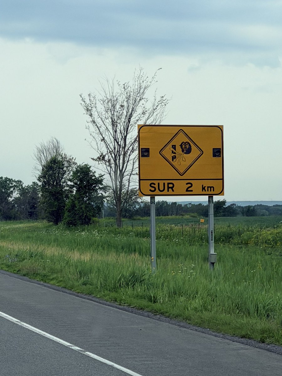 CraigBaird's tweet photo. Quebec has really great signs https://t.co/7CR8aYXjXd