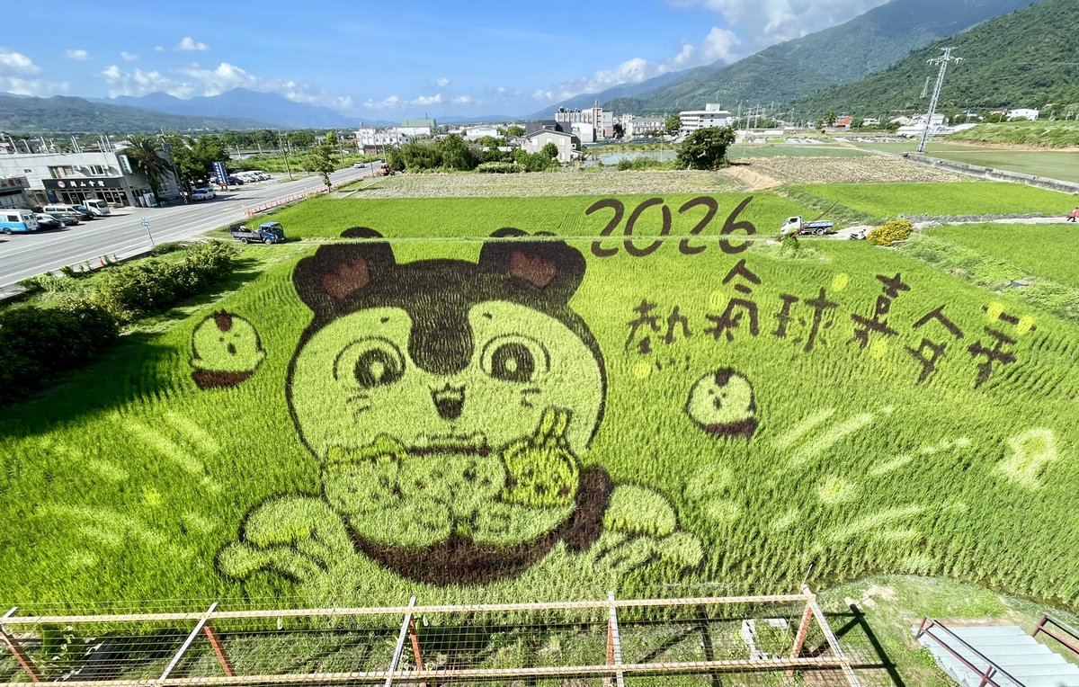 Mallow_chiikawa's tweet photo. 台東の田んぼアート🌾

セイレーンのクオリティ高すぎて、ずっと眺めていられる🥹 https://t.co/rpz74gveZx