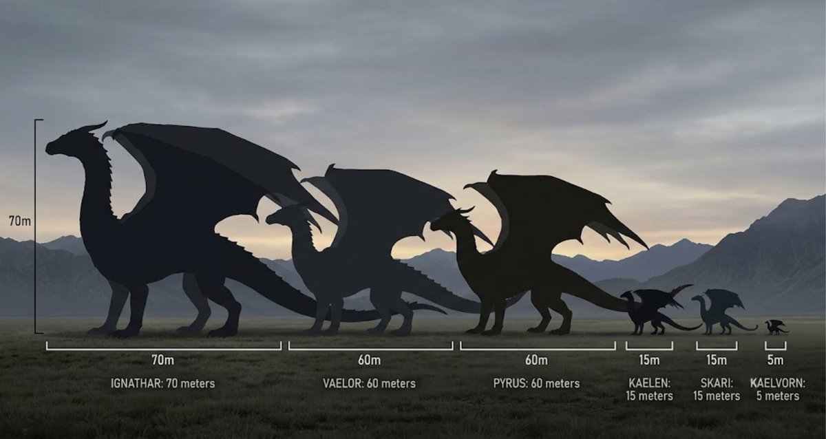 seesawnight7's tweet photo. — Espacio publicitario, les dejo los tamaños de los dragones 🐉 https://t.co/xxYhO1UDZV