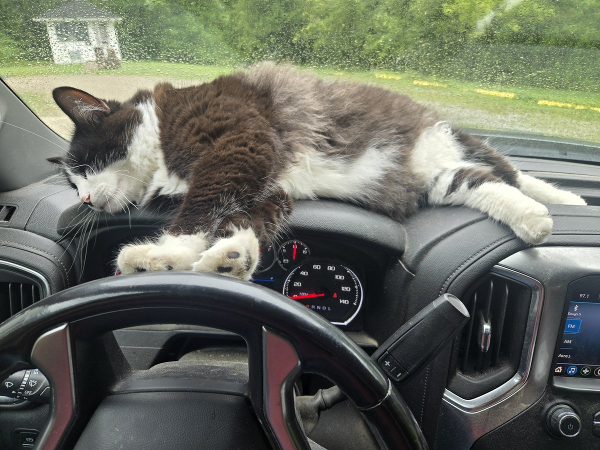LumberBuck's tweet photo. When you are totally knackered by 9:30 am. https://t.co/agE8dyRvf5