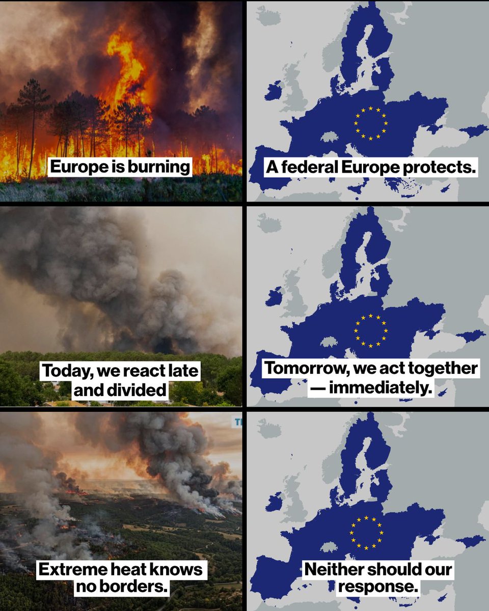 European Federalists tweet media