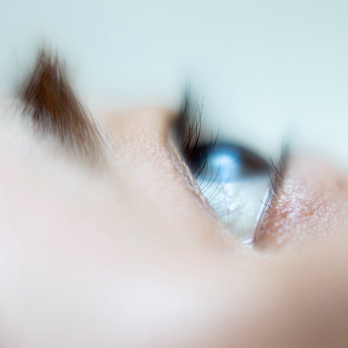Yrin_yo04's tweet photo. micro World

#写真  #写真作品 #写真好きな人と繋がりたい #写真が好きな人と繋がりたい #写真撮ってる人と繋がりたい #ファインダー越しの私の世界 #キリトリセカイ #photo #art #photoart #photograghy https://t.co/ArpXe0Ph5R