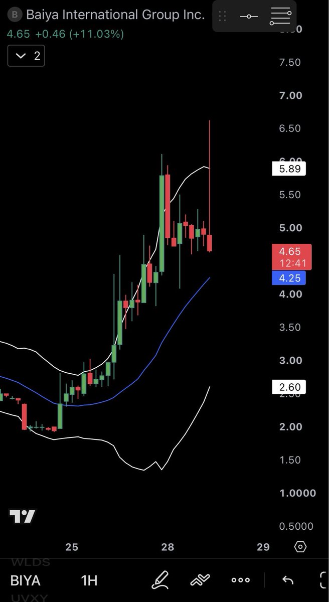 xxyevanb's tweet photo. $BIYA you can very well see the pedophiles nuking down the very cheap chinese assets because only $NVDA could grow to 4 trillions in market cap, while $Biya can't rise more than few millions. It gets permanently halted so they can find cash to short it to death ( $uvxy is up btw) https://t.co/UTQvhLr6er