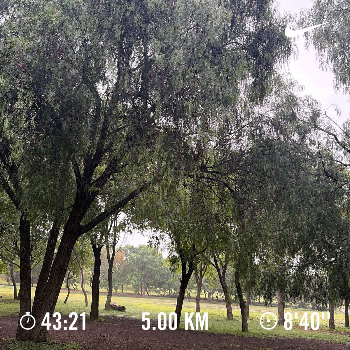 AdaBeGonzalez's tweet photo. 32/100
7:52 am
17 grados centígrados https://t.co/kdPxwLOGzA