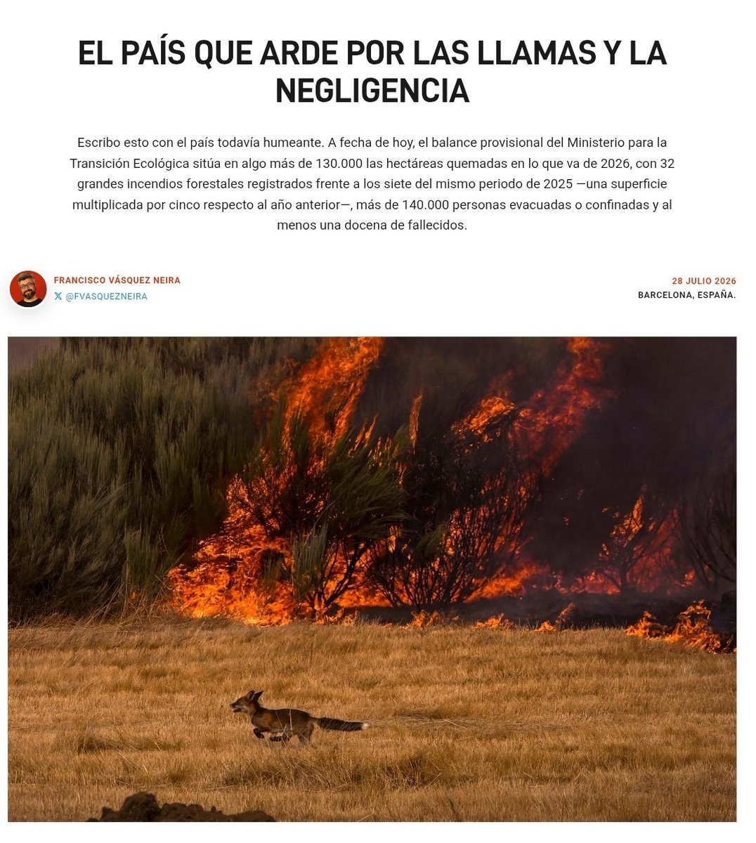 AnimaNaturalis's tweet photo. 🔥❗️ #España | Los incendios no solo reducen bosques a cenizas. También destruyen hogares, nidos, madrigueras y miles de vidas invisibles.

¿Qué estamos haciendo para evitar que esto siga ocurriendo?

Lee la reflexión de @panchistico, cofundador de AnimaNaturalis 👇
https://t.co/mvrBW323X9