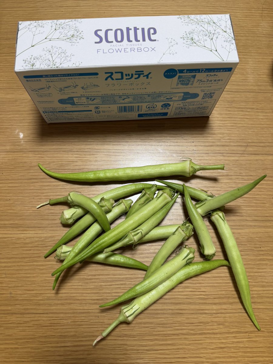 afleru's tweet photo. 自立援助ホーム
カイロスを応援しています！！
虐待され本来帰れる家やのに
もう帰れない。

そんなカイロスボーイと暮らしています。

自立援助ホームカイロス
https://t.co/RE5aHsXLFS

Amazon欲しいものリスト
https://t.co/GaRtA6iCfi

必要が満たされますように！！ https://t.co/glnLXwq72W